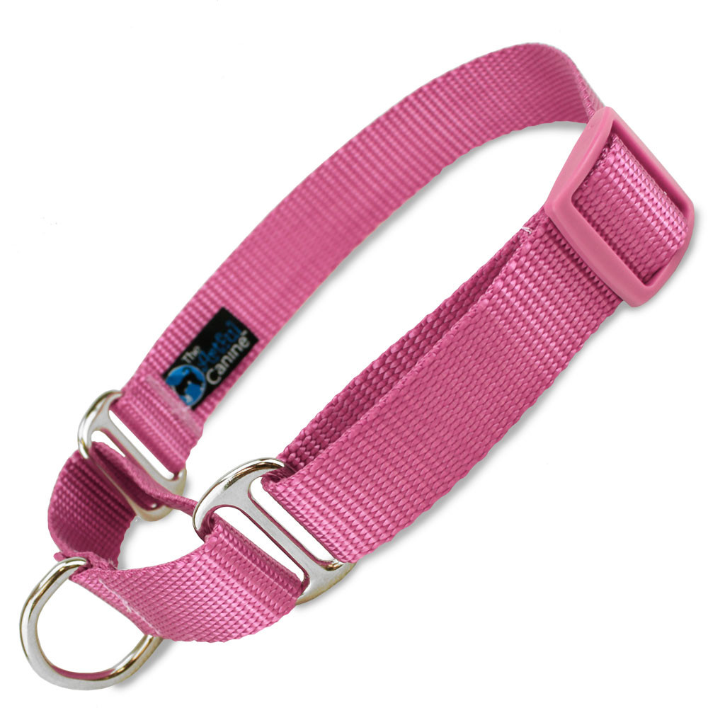 Martingale Dog Collar, Lavender Nylon, Limited Slip Safety Collar