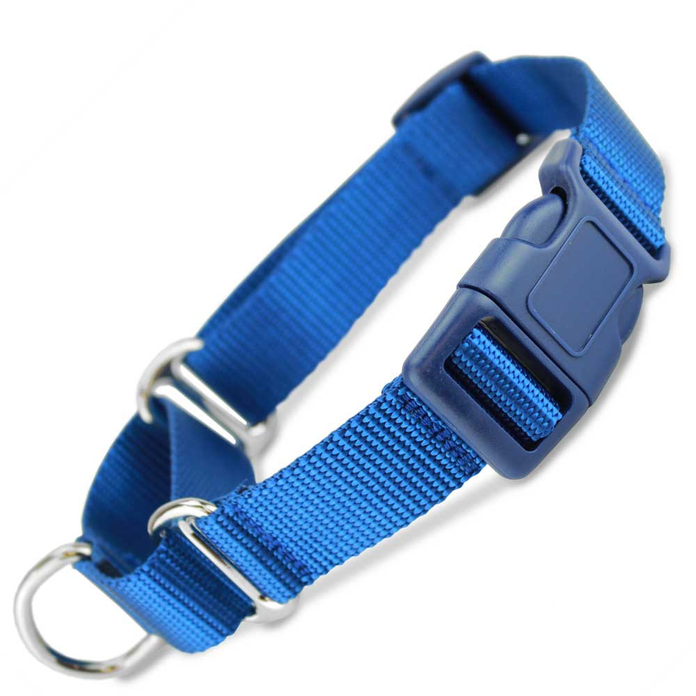 Martingale Dog Collars for Training & Control on Leash