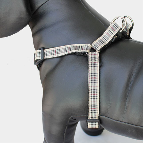 MAYFAIR IN GRAPE & WINE DOG COLLAR main image 1
