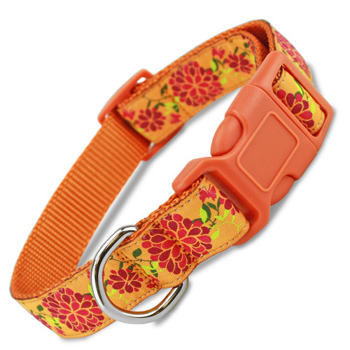 nature dog collars