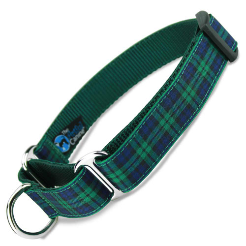 magellan dog collar