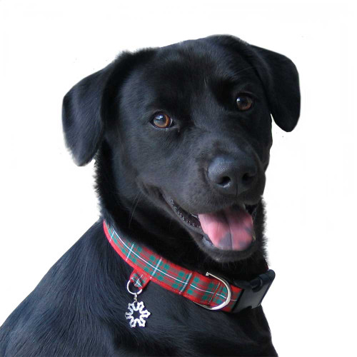 4-product-main_image 4-product-main_image