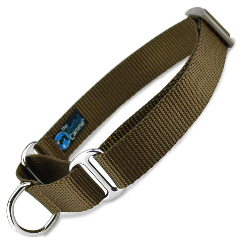 Martingale Dog Collar, Brown Nylon, Limited Slip Dog Collar