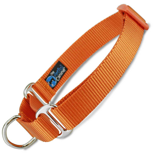 Orange Martingale Dog Collar, Nylon, Training Dog Collar, Safety Collar