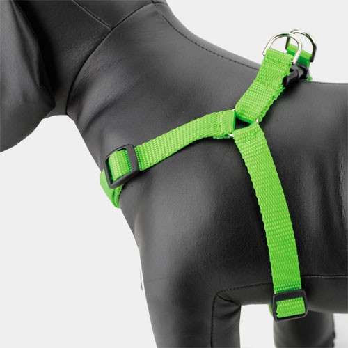 Green Dog Harness, Stepin Style, ChokeFree Adjustable Nylon