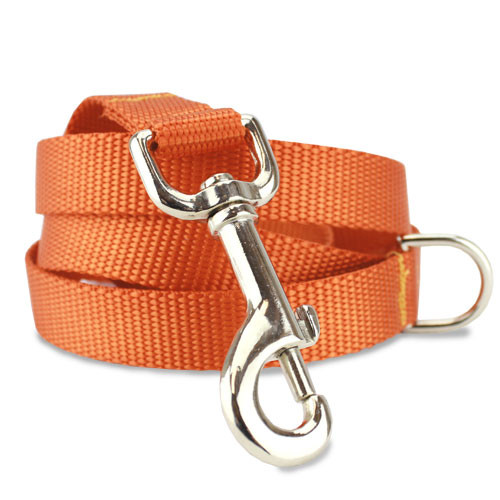 Orange Nylon Dog Collar