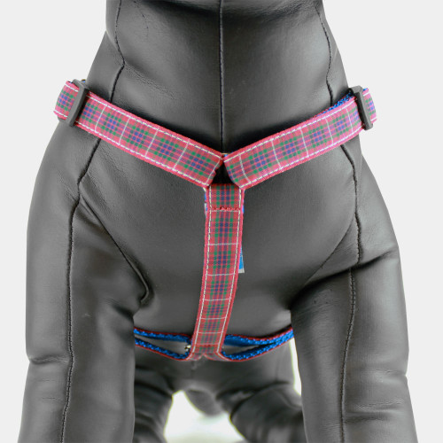 2-product-main_image