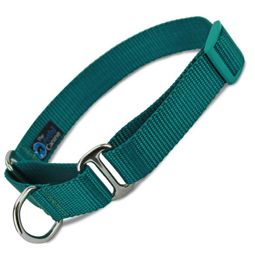 Teal Martingale Dog Collar with Teal Adjuster