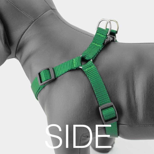 1-product-main_image 1-product-main_image