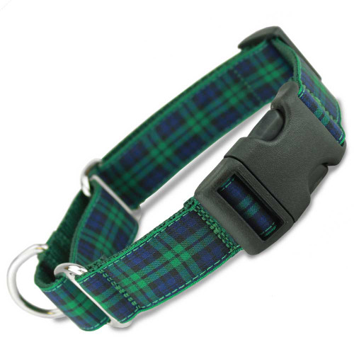 Blackwatch tartan, navy blue and green plaid, quick release buckle, buckle martingale collar, limited slip collar