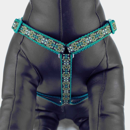 2-product-main_image 2-product-main_image