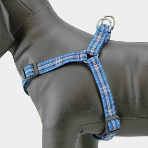 Step in Harness, Rangers Tartan, Side View