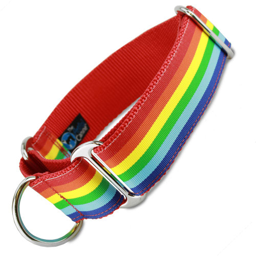 Rainbow Martingale Dog Collar, 1.5 