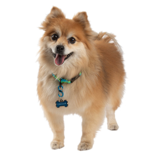 2-product-main_image 2-product-main_image