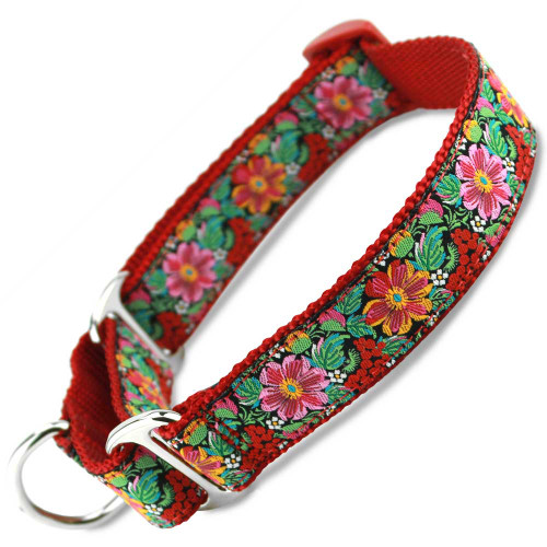 Collars by Kitt, Unique Dog Collars & Martingales, Fancy Dog Collars