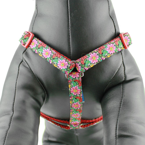 1-product-main_image 1-product-main_image