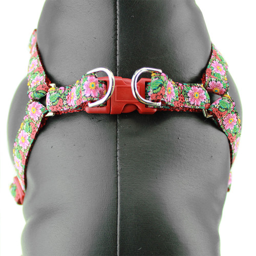 2-product-main_image 2-product-main_image