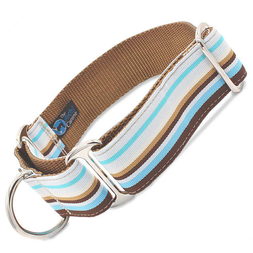 1.5" wide beachy blue martingale dog collar