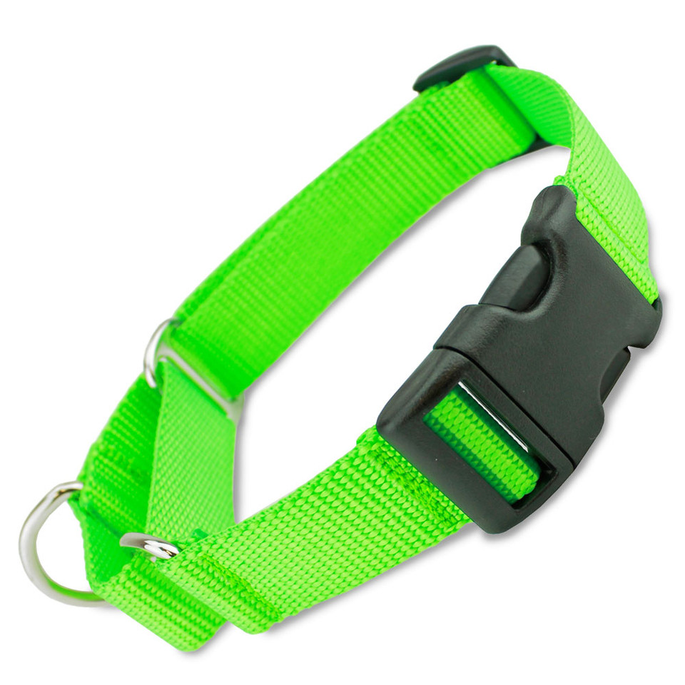 Buckle Martingale Dog Collars with a Quick Release Buckle