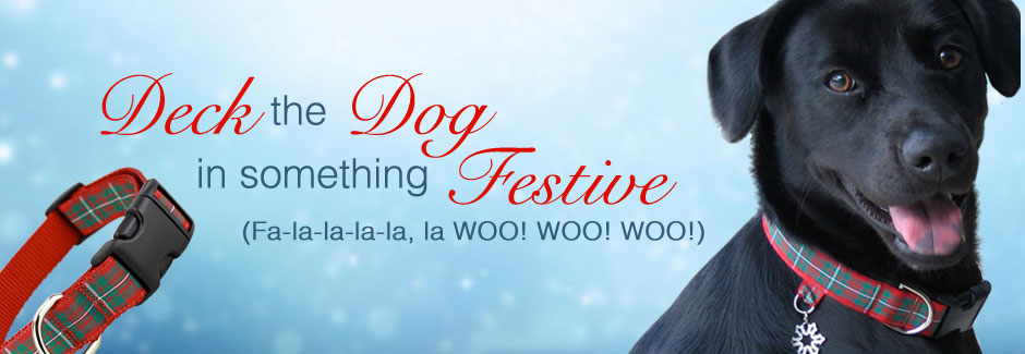 beach themed dog collars