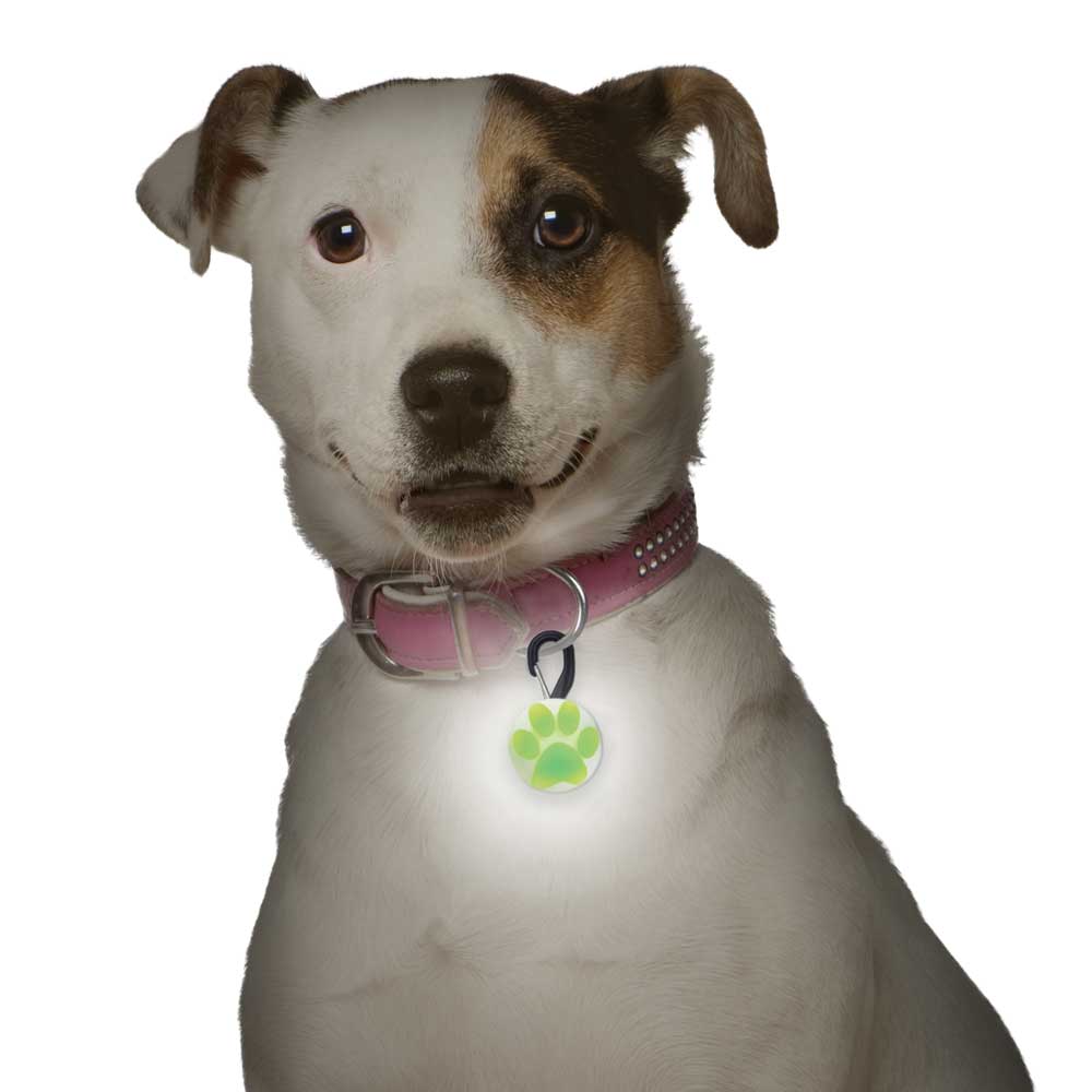 Paw Print LED Dog Tag for Small Dogs, Green paw-print-led-dog-tag-for-small-dogs-green