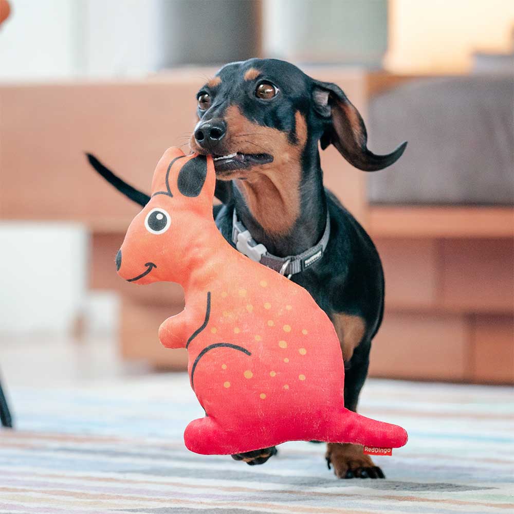 Durables Kangaroo Soft Dog Toy with Squeaker, for Big and Small Dogs