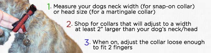 fitting your dog for a quick release collar