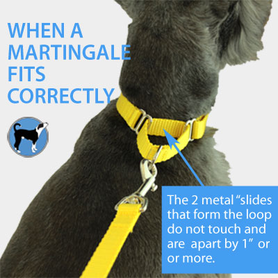 martingale-fit-correctly-400.jpg