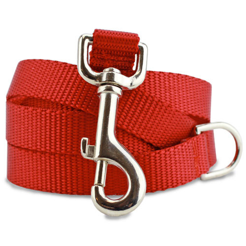 1 Inch Puppy Love on Red Nylon Webbing