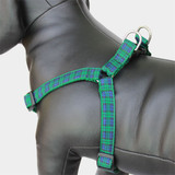 Plaid Dog harness, blackwatch Tartan, green & black choke-free step-in Harness