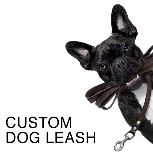 Basic Personalized/Custom Dog Harness and Leash - Royal Dog