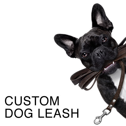 Summer Blossom Dog Leash