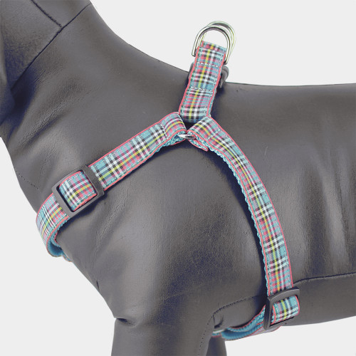 Anderson tartan dog collar Clearance