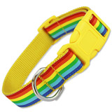 Rainbow Dog Collar, Gay Pride, Yellow Nylon