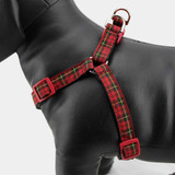 Holiday Step in Dog Harness, Wallace Tartan, Side view