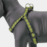 Plaid Step In Dog Harness, Cornish National Tartan