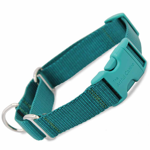 Martingale Collar with Buckle, Teal, Escape-proof dog collar
