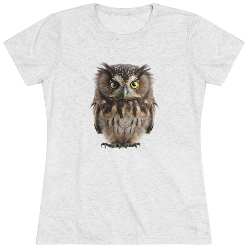 Harvey the Owl - Women's Triblend Tee