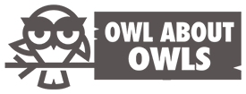 OwlAboutOwls