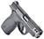 Smith & Wesson Bodyguard 2.0 Pistol 14418 - Compact 380 ACP with 3.10-inch Barrel and Manual Safety
