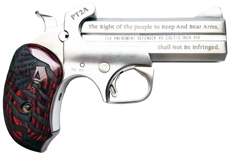 Bond Arms Protect The 2nd Amendment, Bond Pt2a   Protect 2nd Am    357/38  4.25 2r Stst
