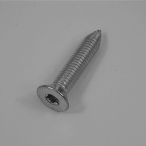 PD920174 SCREW 10 X 7/8 PH TRI-LOBE