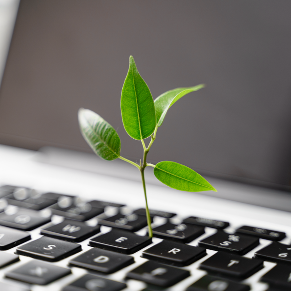 Content Management