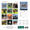 HORSES - 7 x 7 SMALL WALL CALENDAR