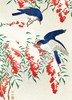 Flycatchers On Snow Covered Bush - 12 Cds/Env Museum Christmas Bx | Christmas & Holiday Greeting Card | Nelson Line Studio