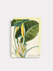 Arum Leaf - 4.5 x 6.25 Card