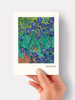 Irises - 4.5 x 6.25 Card