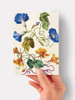 Morning Glory - 4.5 x 6.25 Card