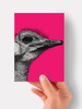 Ostrich - 4.5 x 6.25 Card