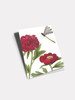 Red Peony - 4.5 x 6.25 Card